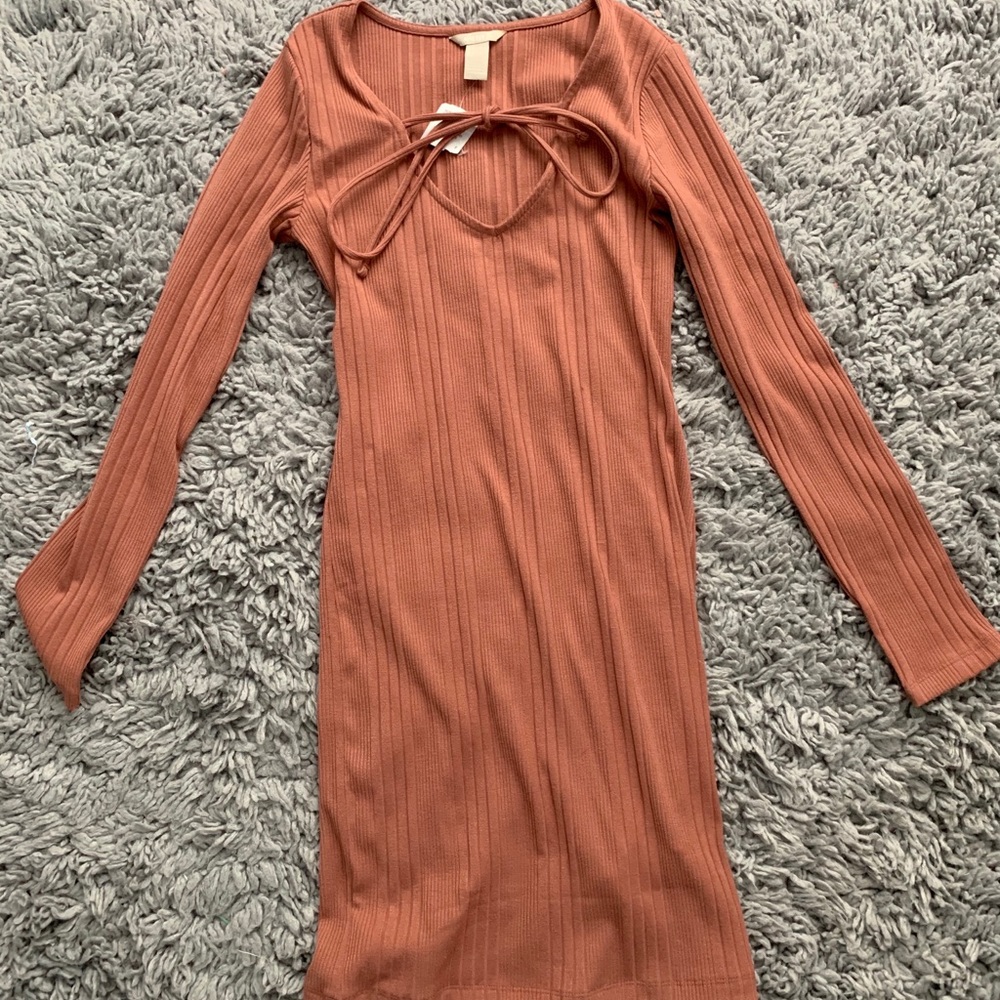 Forever 21 Bodycon Knit Dress